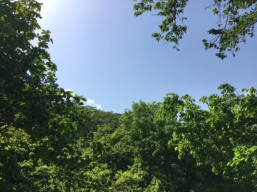 生きる